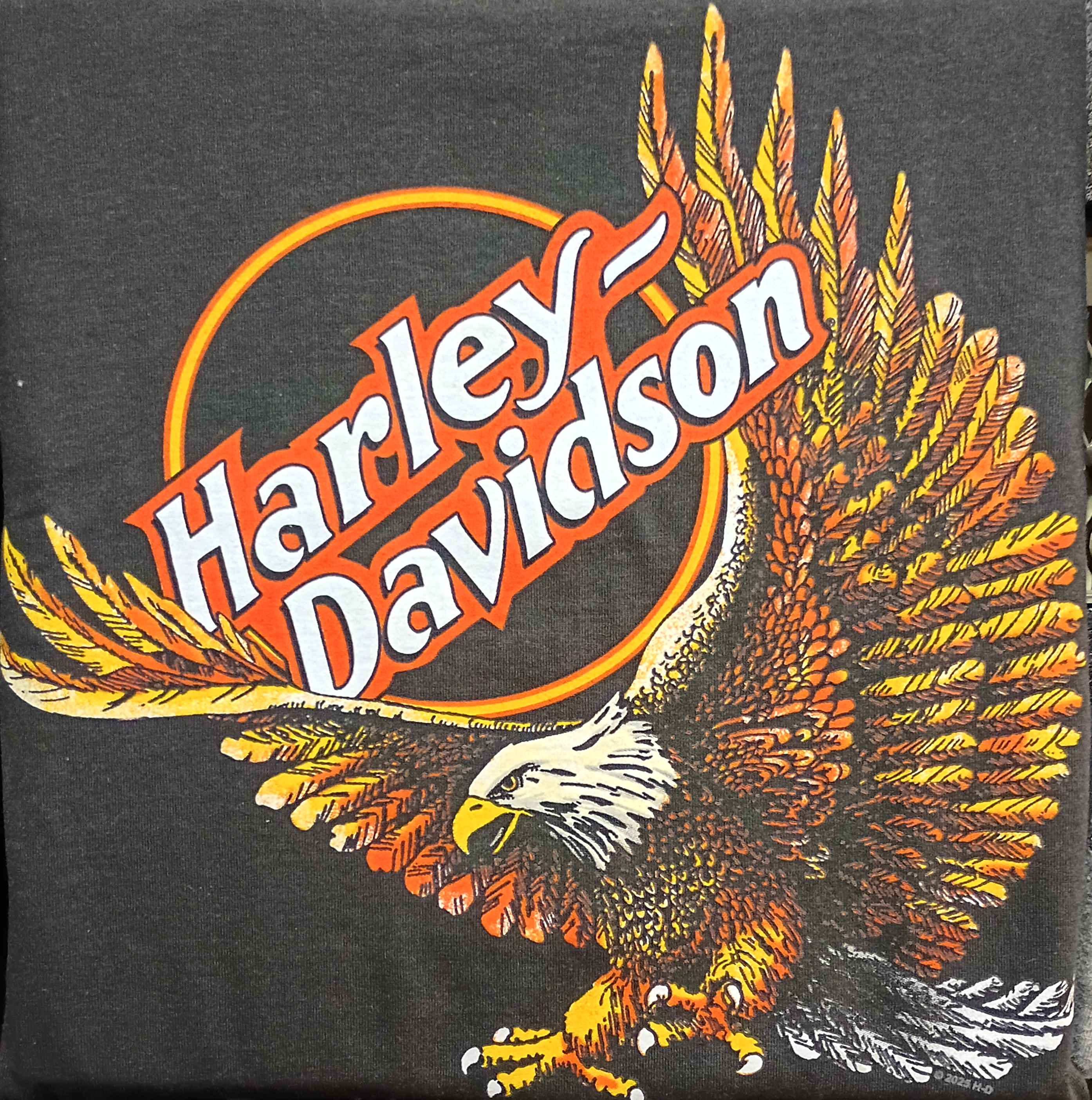 H-D Oval Eagle