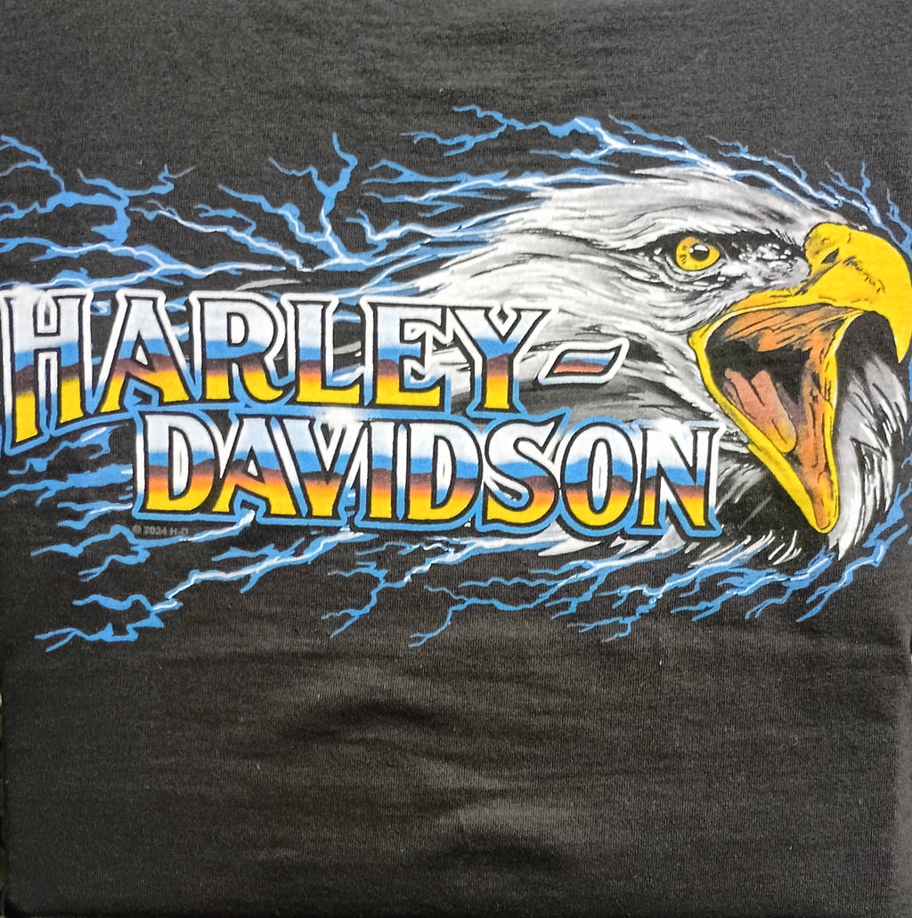 H-D Eagle Strike