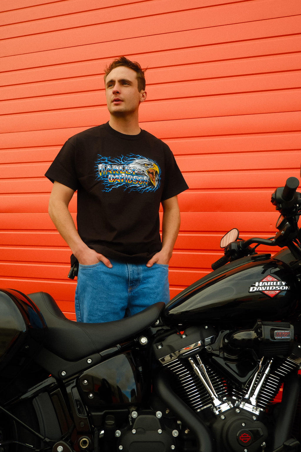 H-D Eagle Strike