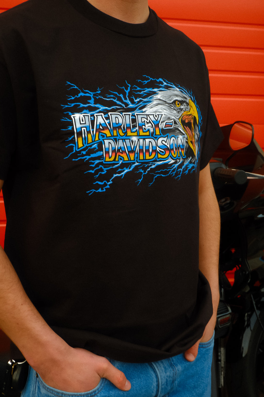 H-D Eagle Strike