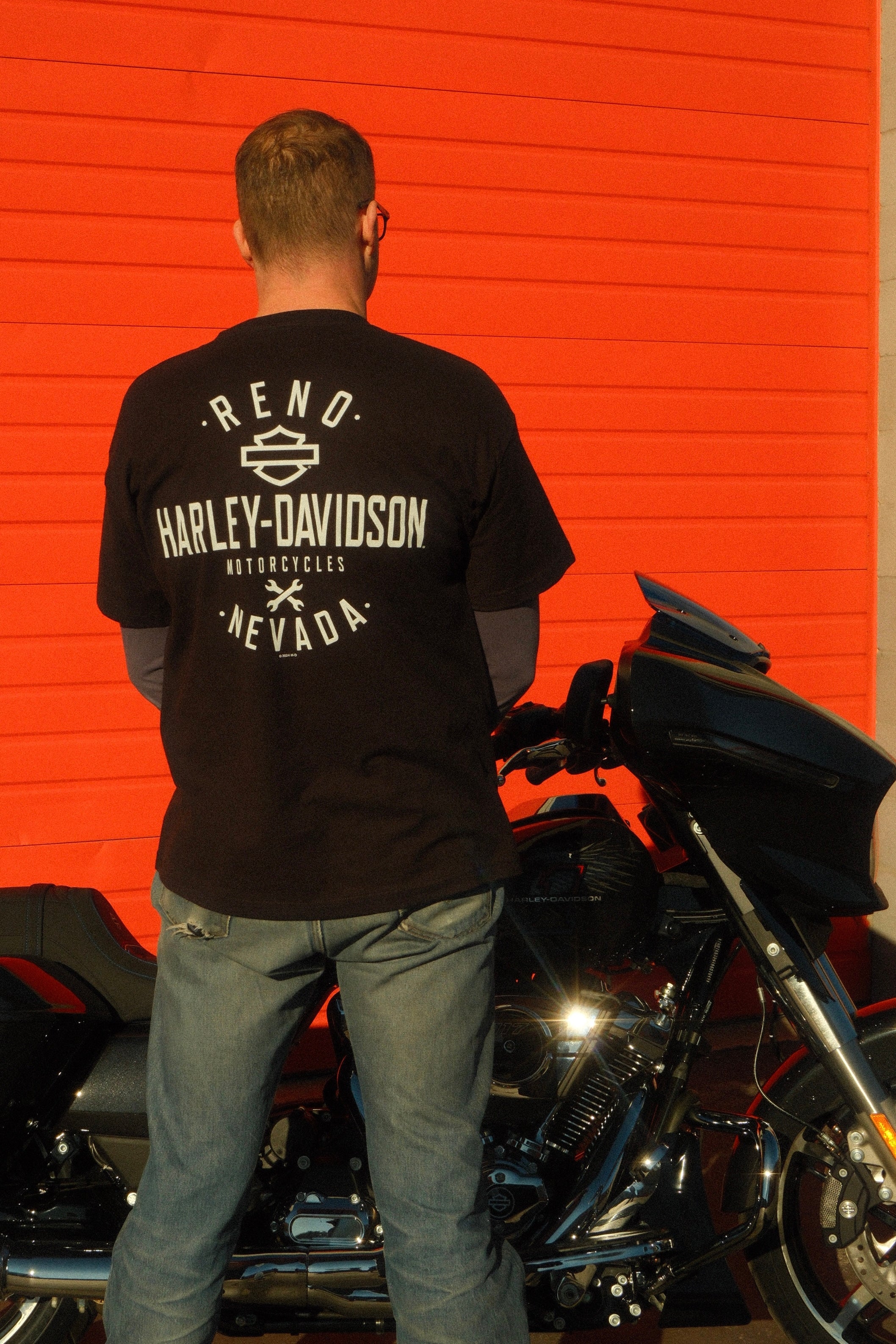 Chrome Bar and Shield