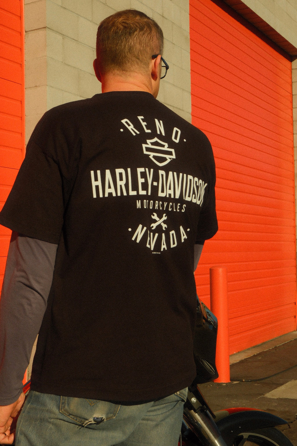 Chrome Bar and Shield