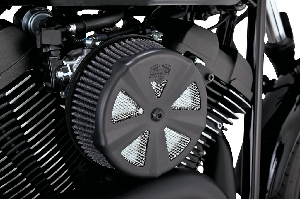 Air Cleaner Cover — Skullcap Crown