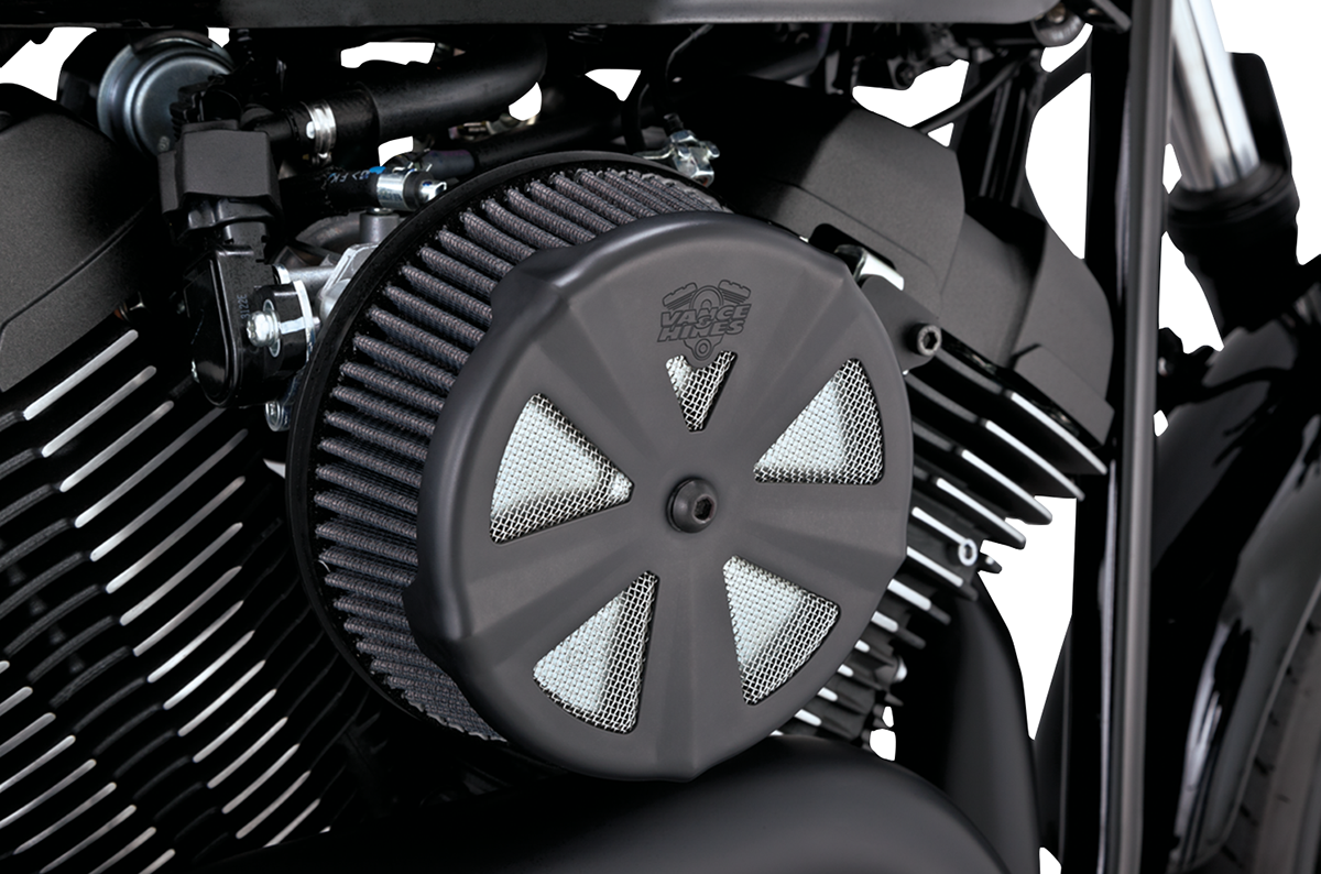 Air Cleaner Cover — Skullcap Crown