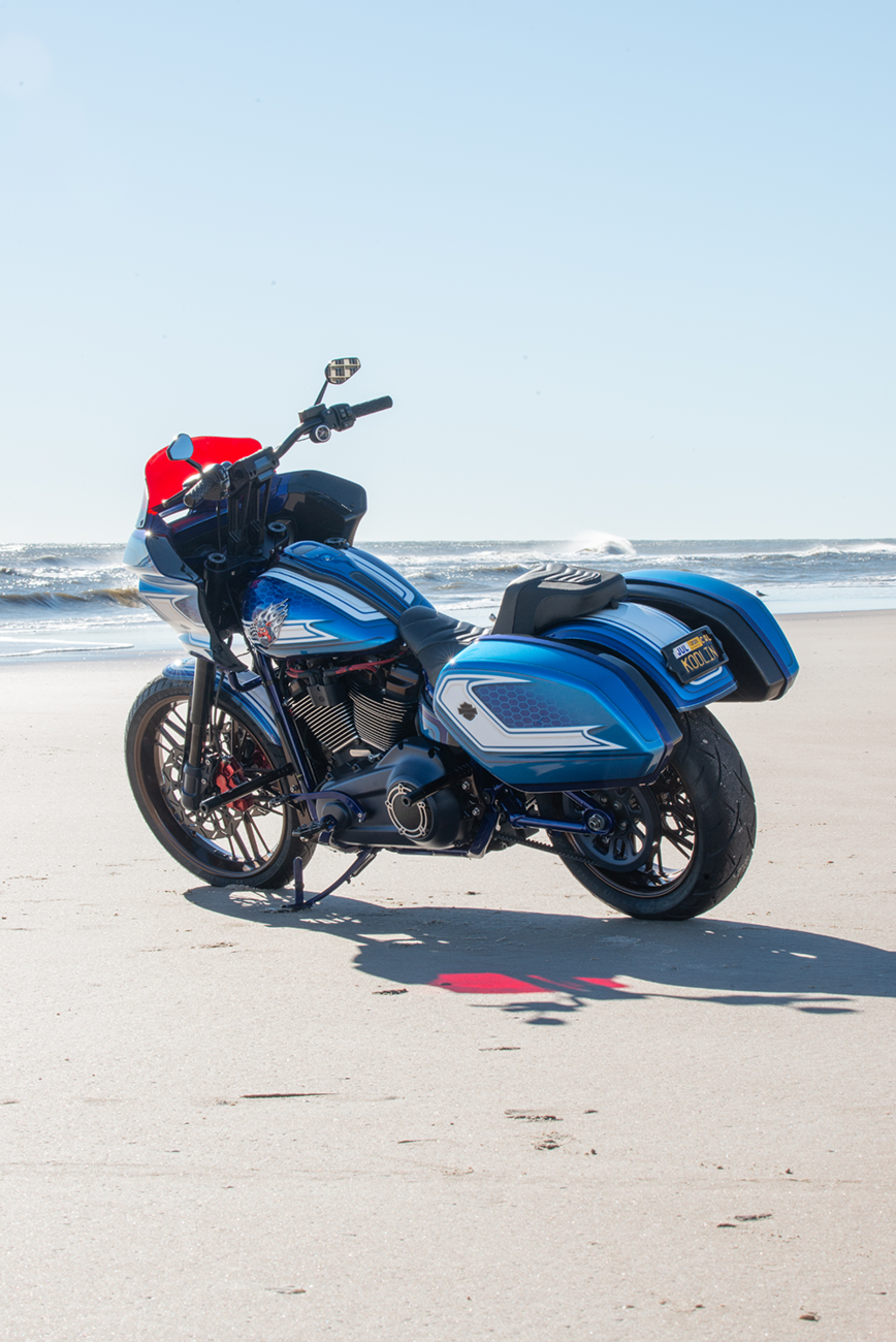 M8 Softail Rear Guards