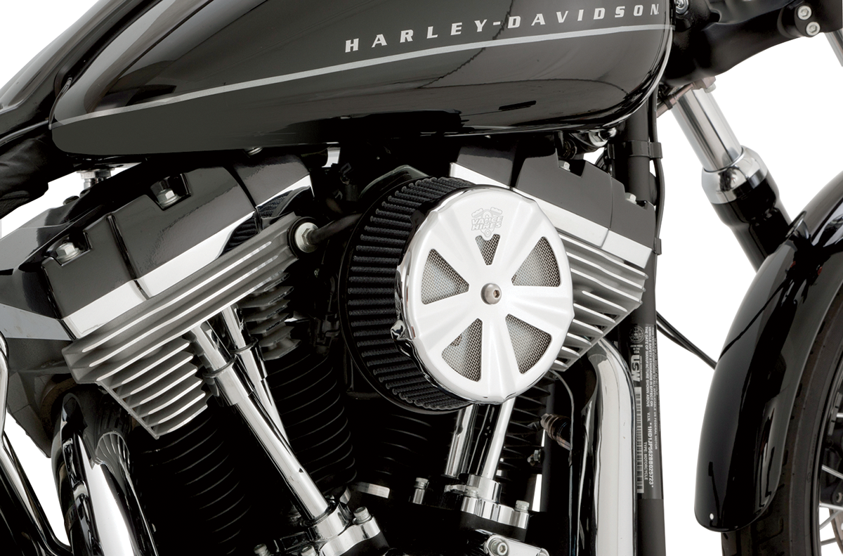 Air Cleaner Cover — Skullcap Crown