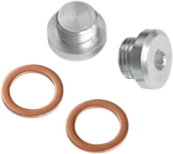 O2 Sensor Port Plug Kit